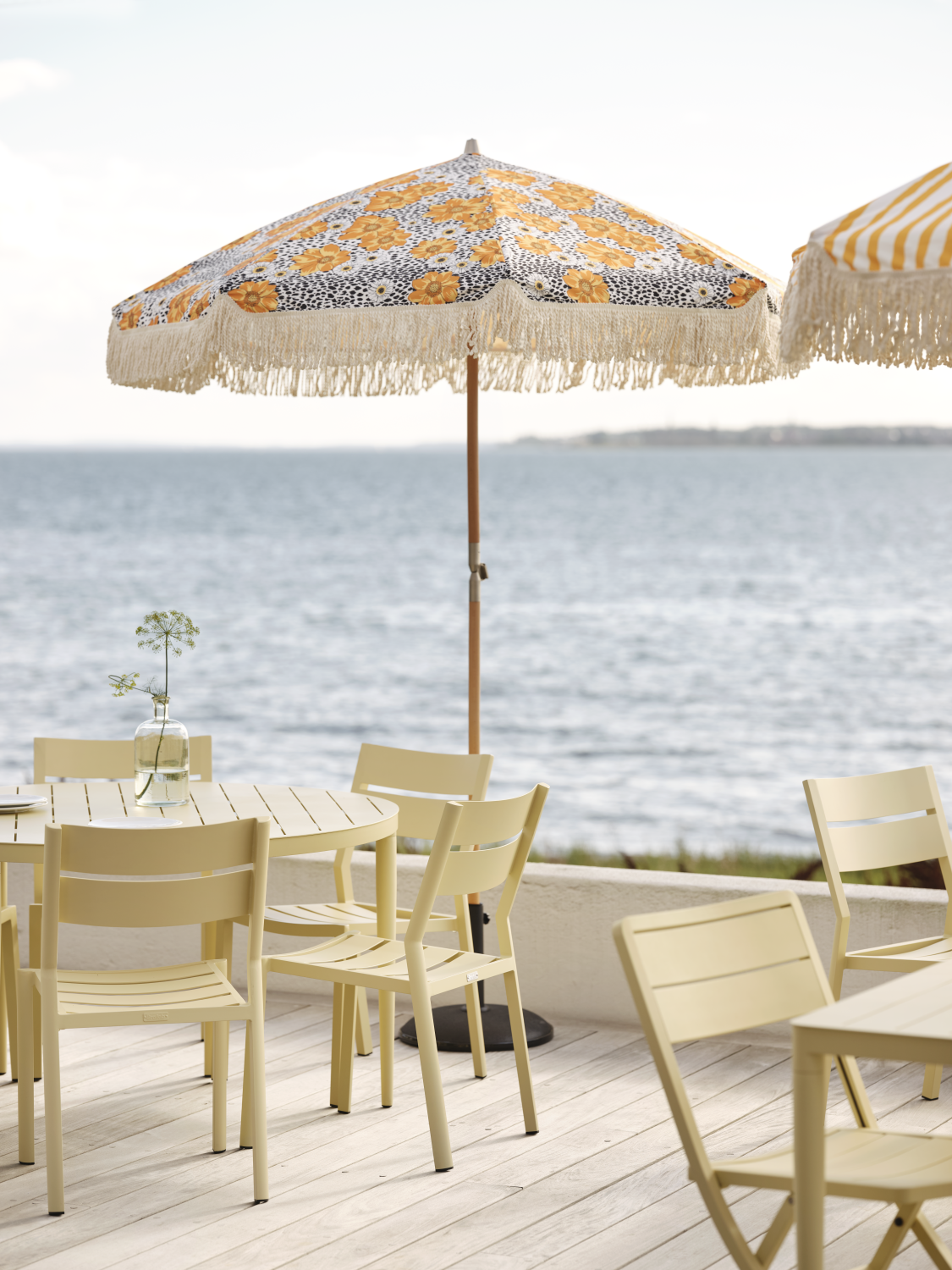 Delia Diningstuhl Lemon