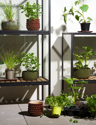 Grower Greens Pflanzenschrank Schwarz