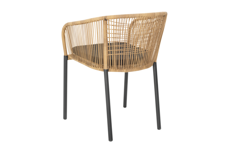 Delta Diningsessel Anthrazit/Teddy Black