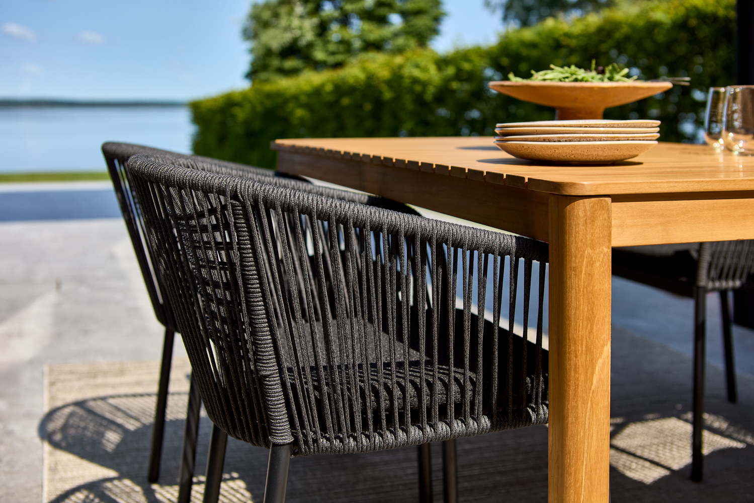 Delta Diningsessel Schwarz/Teddy Black