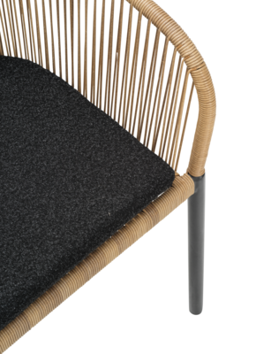 Delta Diningsessel Anthrazit/Teddy Black