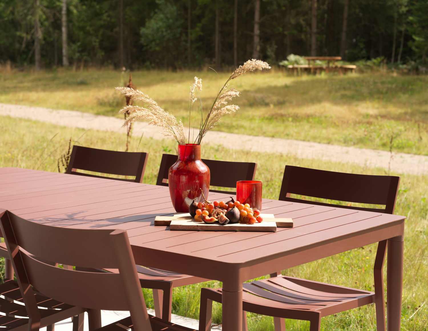 Delia Diningstuhl Zin Red