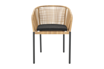 Delta Diningsessel Anthrazit/Teddy Black