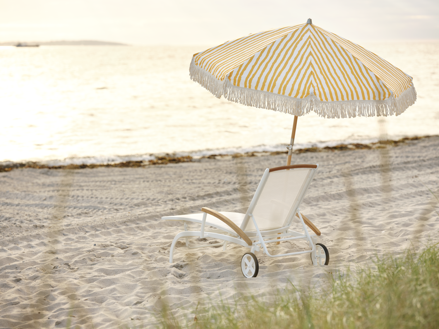 Andy Liege White_Offwhite