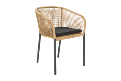 Delta Diningsessel Anthrazit/Teddy Black