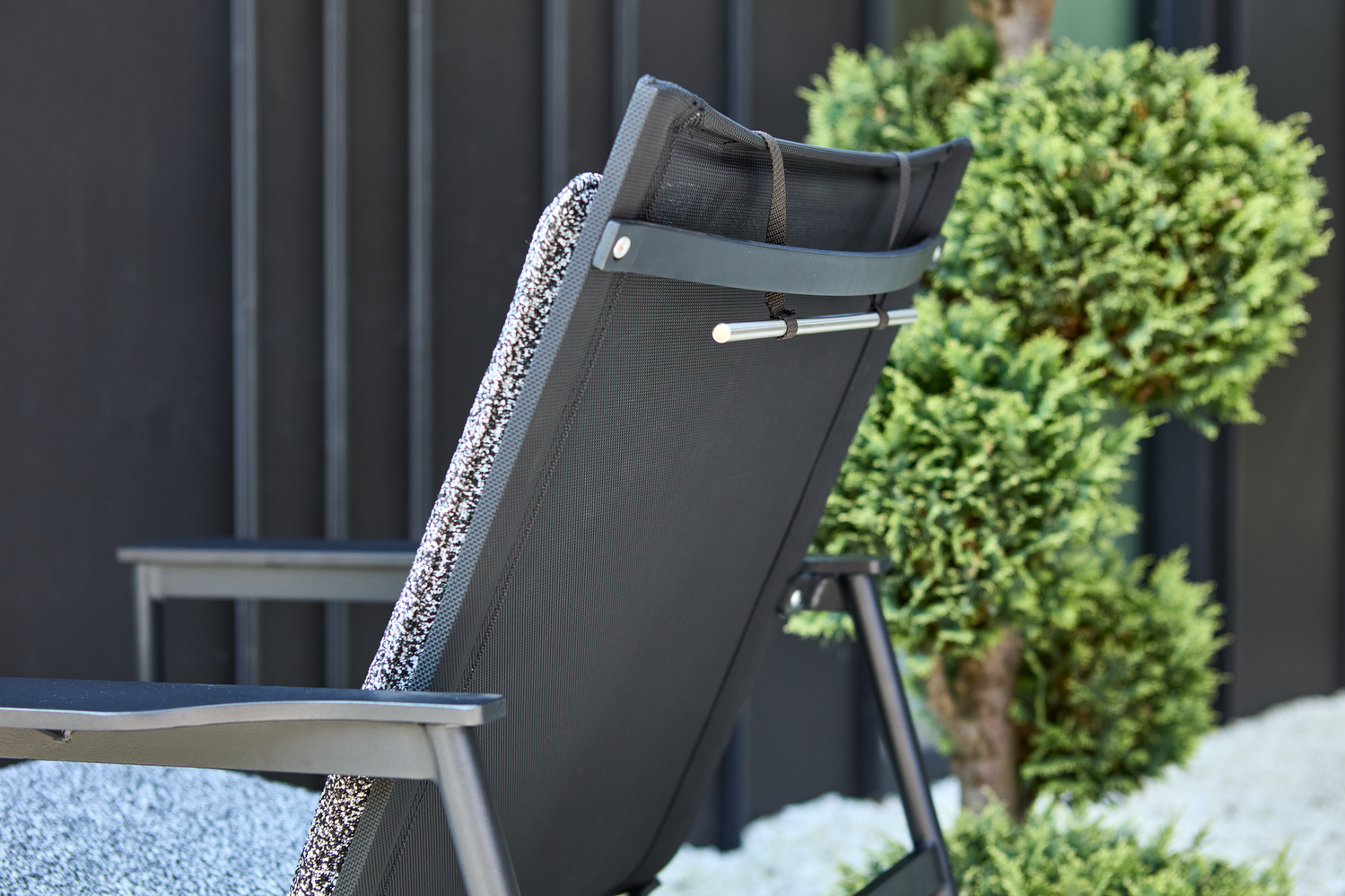 Soro Loungesessel Schwarz/Teddy Ant