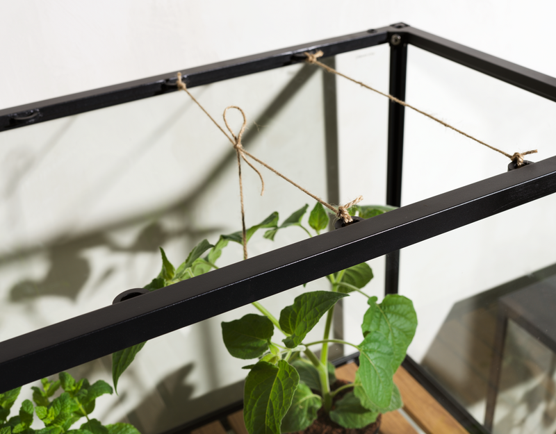 Grower Greens Pflanzenschrank Schwarz