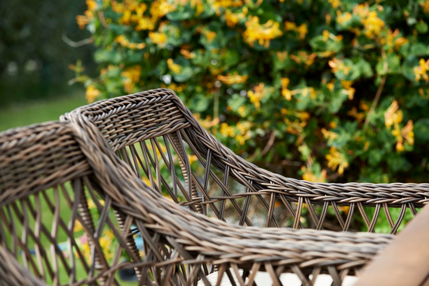 Beatrice Diningsessel Braun/beige